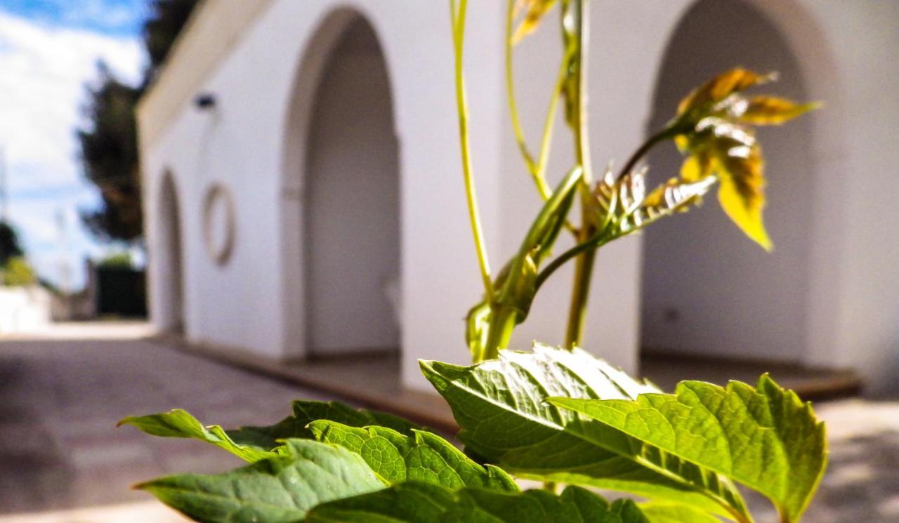 Villetta Titta San Pietro in Bevagna Exterior foto